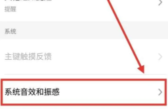 魅族21怎么关闭拍照声音插图2