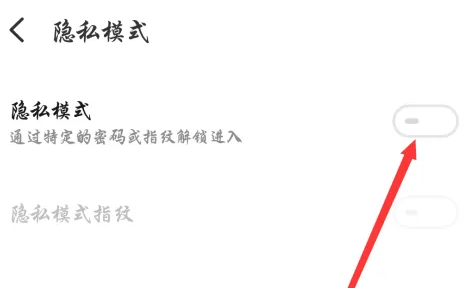 flyme10隐私模式找不到了插图2