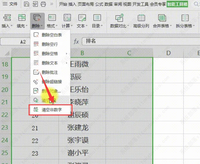 wps快速清空表格非数字内容怎么操作？