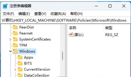 Win11如何彻底关闭Windows Copilot？关闭Windows Copilot的方法