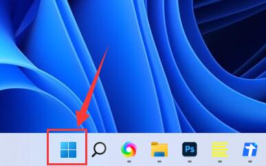 win11麦克风权限设置教程插图
