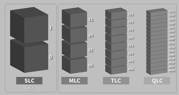 qlc颗粒和tlc颗粒区别插图1