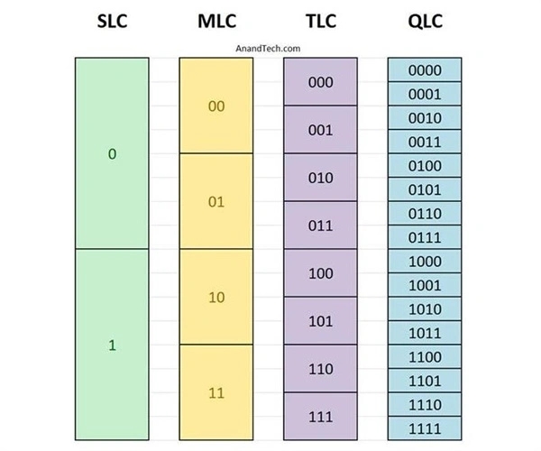 qlc颗粒和tlc颗粒区别插图2