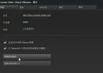 Win10玩csgo的优化参数设置方法
