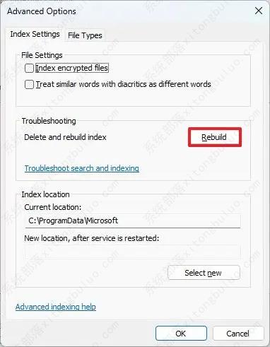 如何在 Windows 11 上修复大型 Windows.db？