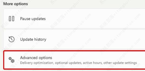 win11为什么没有声音？多种原因及解决方法你值得关注！