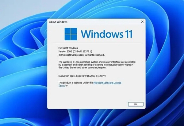 win11系统23h2是什么版本插图
