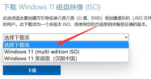 哪里下载win11系统原版镜像 win11系统MSDN下载插图1