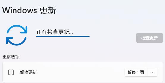 win11支持动态壁纸吗？win11动态壁纸怎么设置插图1