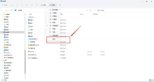 Win11如何打开预览窗格？Win11显示预览窗格的方法