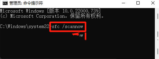 Win11提示文件系统错误805305975的解决方法