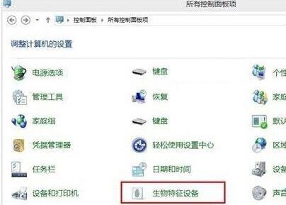 win10设备管理器没有生物识别设备怎么办插图