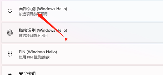 win11人脸识别设置方法插图