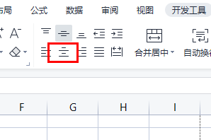 Microsoft Excel 2020表格文字怎么居中插图2