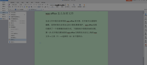 wps office如何加密文件插图