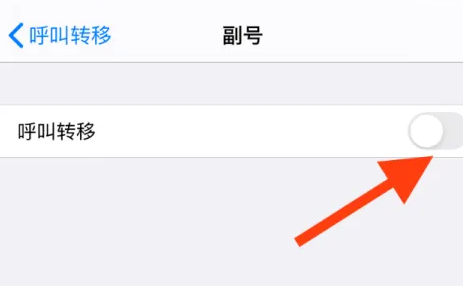 苹果15呼叫转移方法插图4