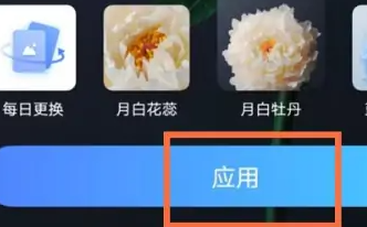 iqoo11壁纸更换教程插图3