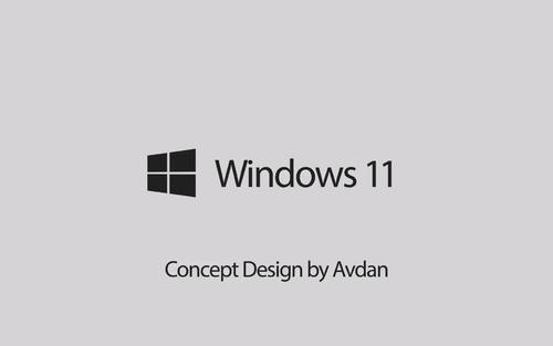 win11纯净版和专业版哪个好？win11纯净版和专业版区别介绍