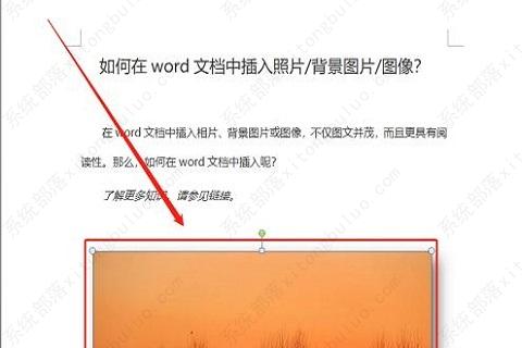 word嵌入式图片为什么显示不出来？word文档插入图片显示不全怎么办