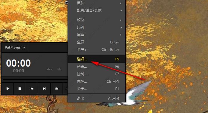 potplayer怎么设置解码器？potplayer解码器的两种设置方法
