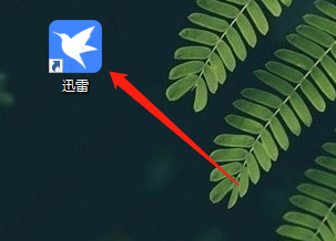 迅雷11如何诊断下载网络信息？