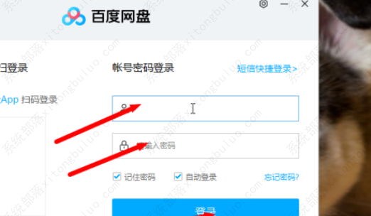 百度网盘下载不了文件？百度网盘点击下载没反应怎么回事？