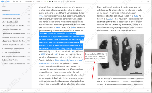 Neat Reader翻译EPUB文档中英文的方法教程
