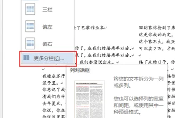 word页面布局分栏在哪插图3