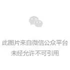 PPT中如何制作时间线？插图11