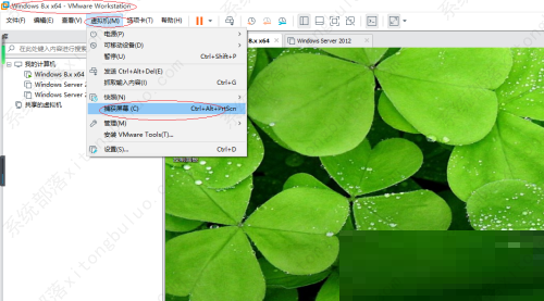 VMware Workstation截屏教程