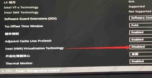 华硕电脑雷电模拟器怎么开vt？雷电模拟器开启vt教程