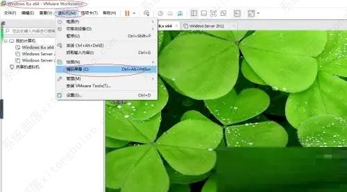 VM虚拟机怎么截屏？VMware截屏教程