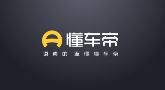 懂车帝网页版入口插图