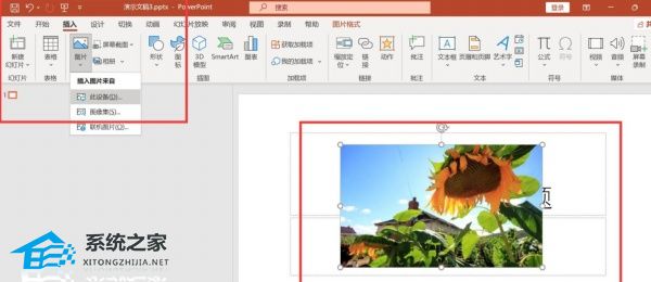 PPT如何把图片动画设置为进入旋转？PPT图片动画设置为进入旋转的方法插图