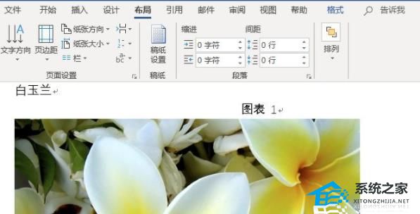 Word图片如何统一调整大小？Word图片统一调整大小的方法插图