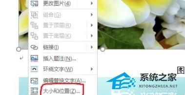 Word图片如何统一调整大小？Word图片统一调整大小的方法插图1