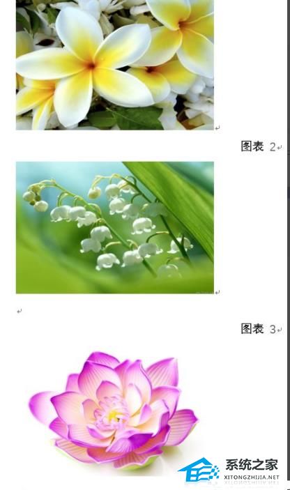 Word图片如何统一调整大小？Word图片统一调整大小的方法插图4