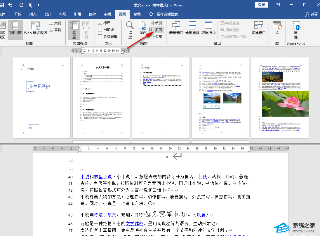 Word分屏功能怎么用？Word分屏显示设置教程插图4