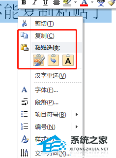 Word突然复制粘贴不了怎么办？Word不能复制粘贴的解决教程插图4