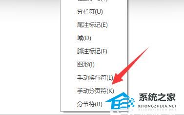 Word最后一页删除不了怎么办？Word最后一页删除不了的解决方法插图4