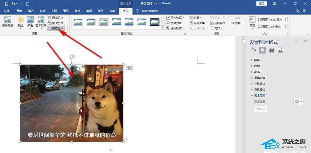 Word怎么使用重置图片功能？Word使用重置图片功能的方法插图4