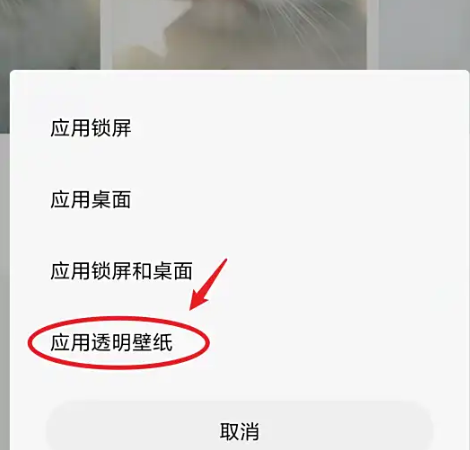 miui11透明壁纸怎么设置 小米11设置透明壁纸插图5 miui11透明壁纸怎么设置 小米11设置透明壁纸插图5